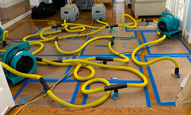 Professional Water Damage Repair technician working in Hickory, NC